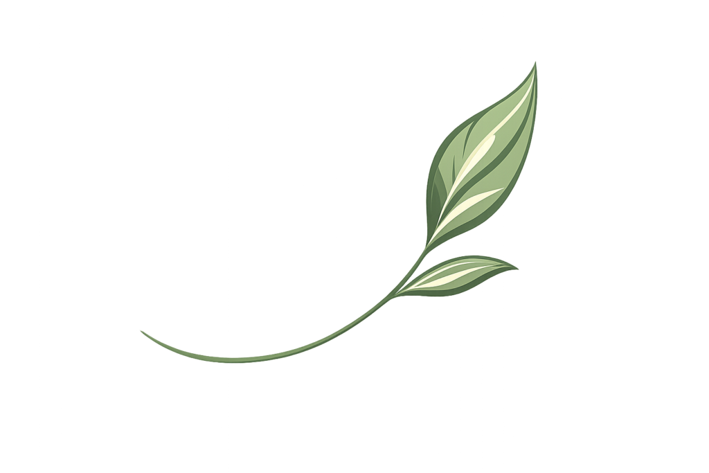feuille verte élégante et minimaliste